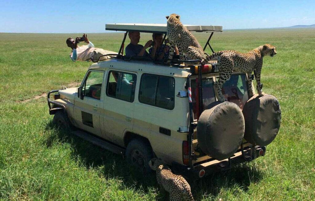 ngorongoro park