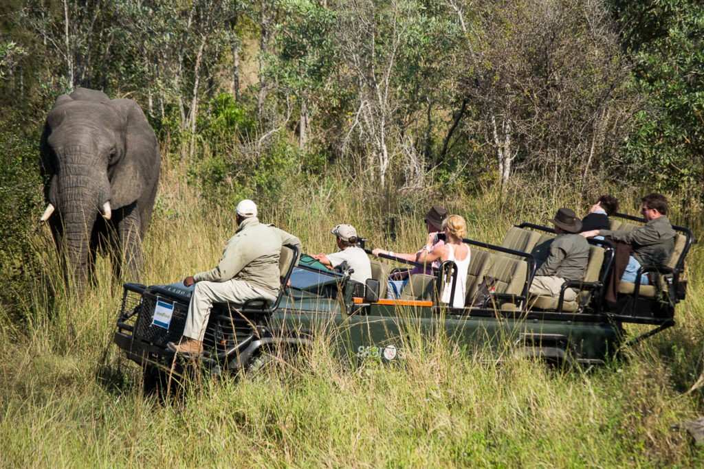 team building safari.