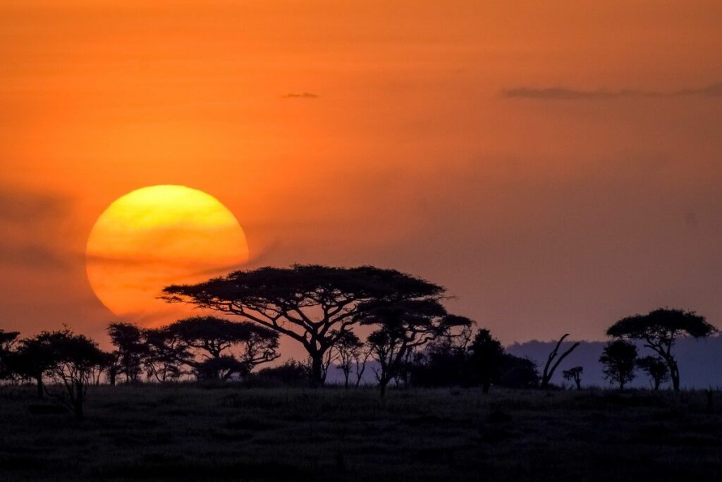 Serengeti_sunset