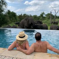 Feature-RockFig-Safari-Lodge-Timbavati-South-Africa